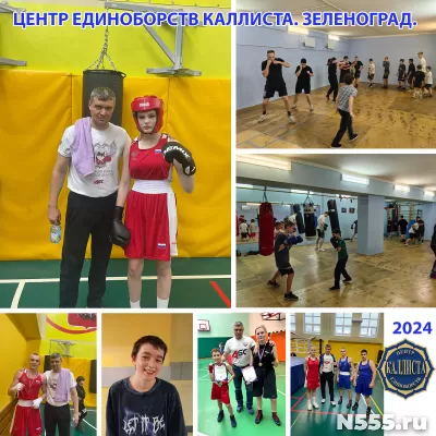 Зеленоград. Самбо. Дзюдо. Ушу. Бокс. Джиу-джитсу + 10 единоб