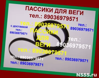 Пассик для Веги 110 106 108 109 115 117 Арктур