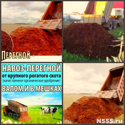 Перегной, конский, коровий в мешках и навалом