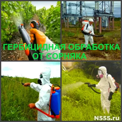 Гербицидная обработка участка от сорняков профессионально