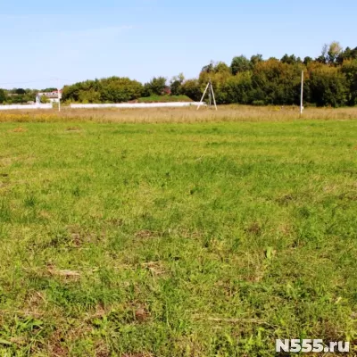 Участок 45 Га в  Бессоновском районе