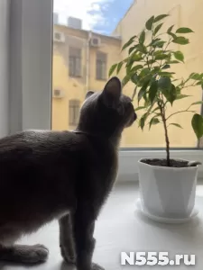 Бурма Мальчик фото 6