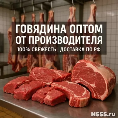 Оптовая продажа мяса говядины