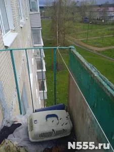 Продам 1-к квартиру в ЛО, Волосовский р-н, пос. Извара. фото 4