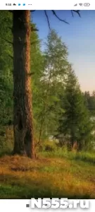 Продам 1-к квартиру в ЛО, Волосовский р-н, пос. Извара. фото 6