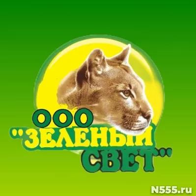 Автошкола "Зеленый свет"