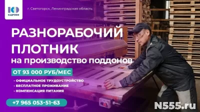 РАЗНОРАБОЧИЙ ПЛОТНИК