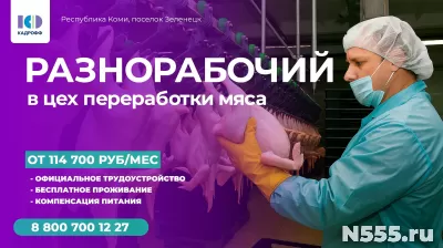 РАЗНОРАБОЧИЙ В ЦЕХ ПЕРЕРАБОТКИ МЯСА