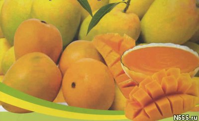 Предлагаем концентрат пюре манго Индия. фото