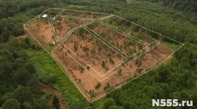 Прилесные участки с деревьями в новом КП «Радование-Парк»