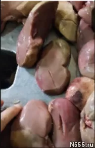 Мясо для животных-Говядина. Рубец. фото 1