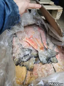 Мясо для животных-Говядина. Рубец. фото 4