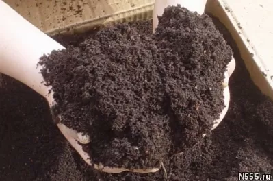 Заказать грунт плодородный с доставкой фото