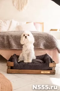 лежанка для кошек и собак малых пород фото