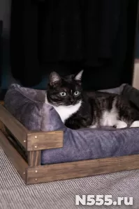 лежанка для кошек и собак малых пород фото 3