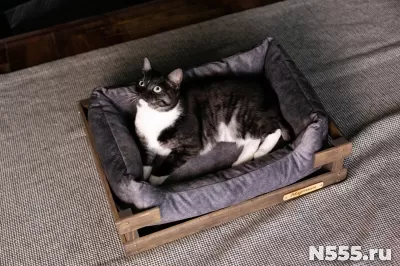 лежанка для кошек и собак малых пород фото 4
