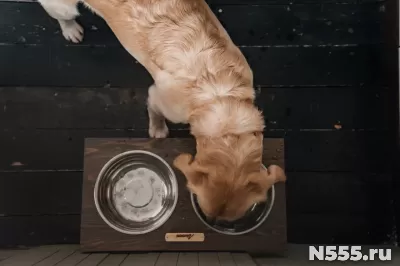 Кормушка, подставка для мисок для собак крупных пород фото 3