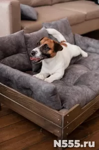 Диван для собак средних и малых пород фото 3