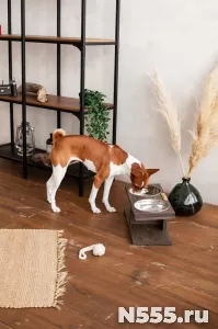 Кормушка, подставка для мисок для собак средних пород фото 1