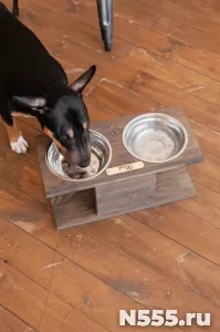 Кормушка, подставка для мисок для собак средних пород фото 4