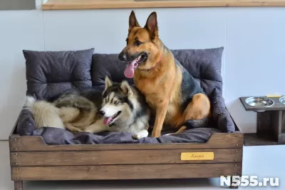 Диван для собак крупных пород фото 2