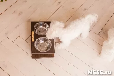 Кормушка подставка для мисок для кошек и собак малых пород фото 1