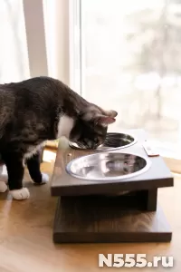 Кормушка подставка для мисок для кошек и собак малых пород фото 2