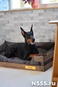 Лежанка для собак крупных пород фото