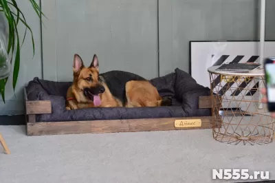 Лежанка для собак крупных пород фото 2