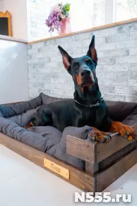 Лежанка для собак крупных пород фото 4