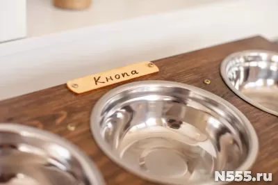 Кормушка подставка для мисок для кошек и собак малых пород фото 2