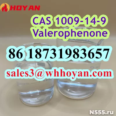 CAS 1009-14-9 Valerophenone factory sale Russia