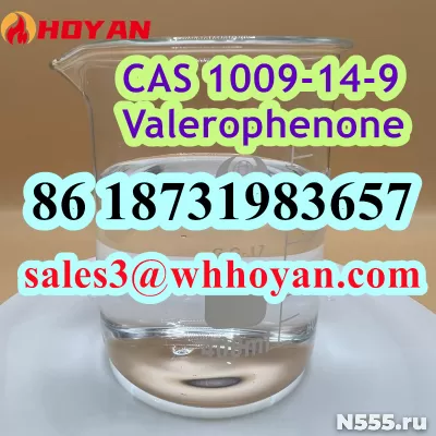 CAS 1009-14-9 Valerophenone factory safe delivery to Russia
