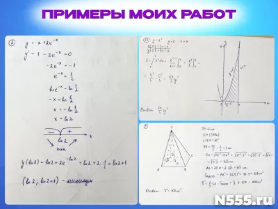 Решение задач по высшей математике фото 4